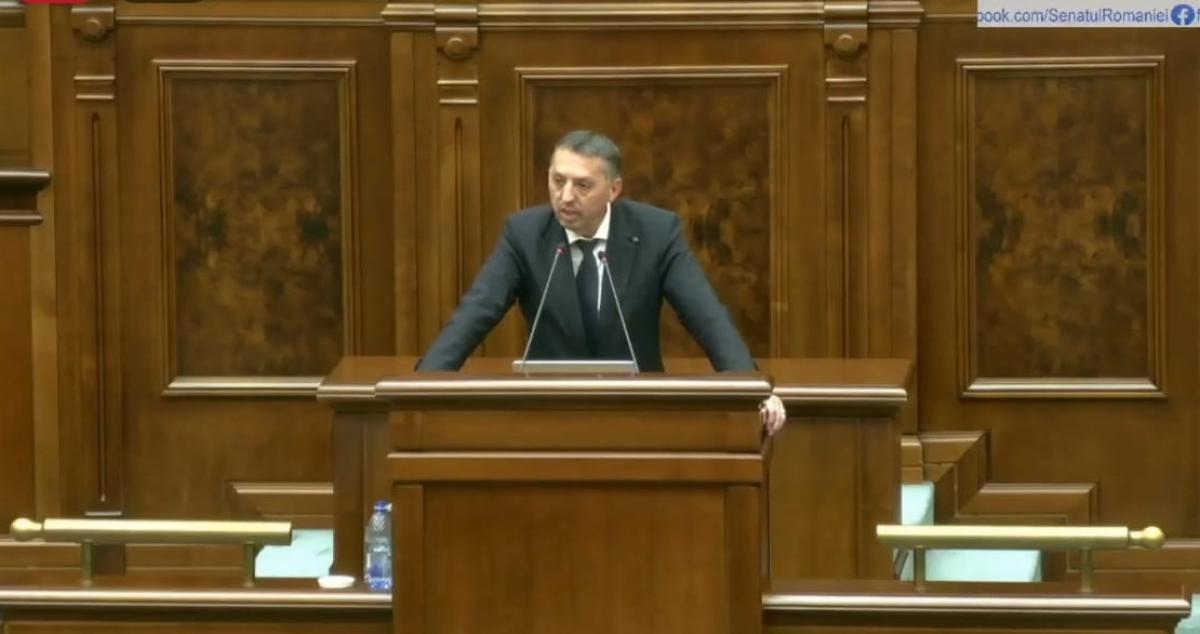 LIVE VIDEO Moțiunea simplă depusă împotriva ministrului Educaţiei, dezbătută acum în Senat! D. David: „Da, educația este în pericol. Este de mai mult timp în pericol în această țară”
