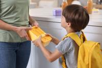 Ce trebuie să conțină pachetul cu mâncare pentru școală: Idei de rețete care mențin mintea copiilor ageră / FOTO: freepik.com @New Africa