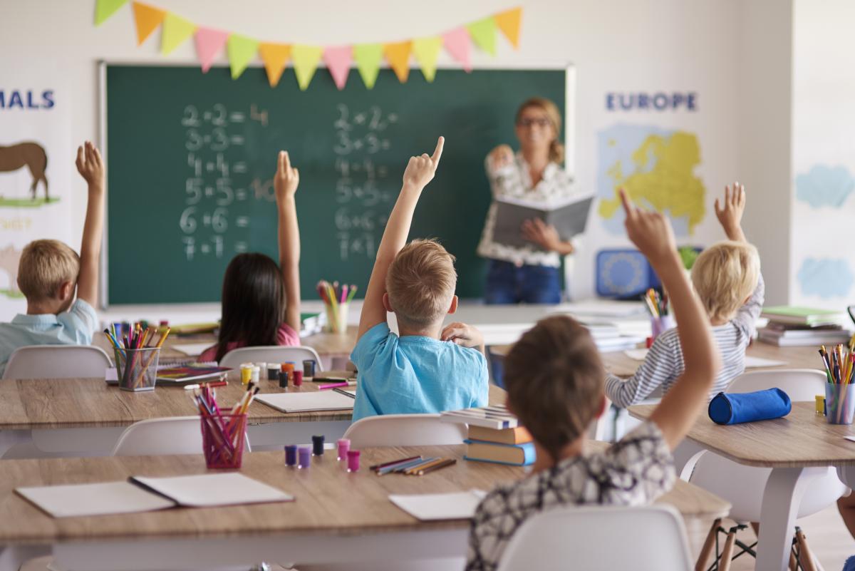Termen limită pentru inspectoratele școlare pentru definirea corpului de profesori metodiști / foto: freepik.com@gpointstudio