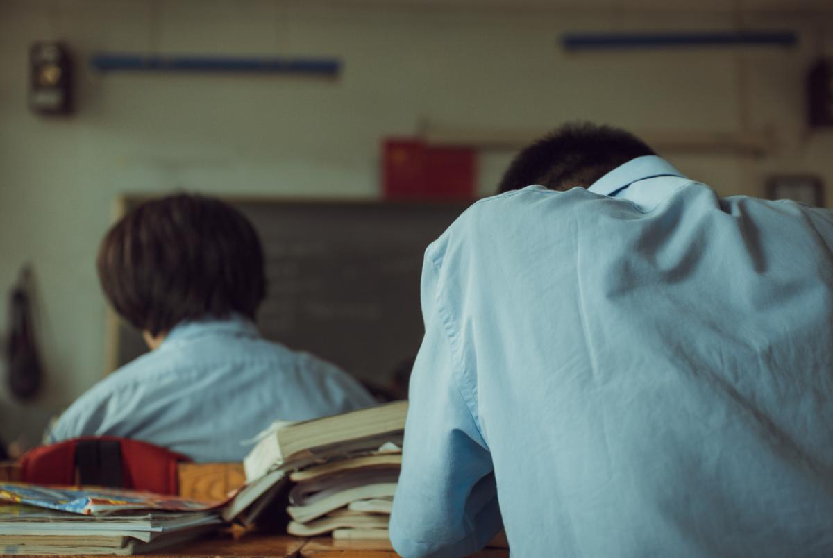 Noua programă școlară îl „rupe” pe Mihai Eminescu de Junimea. Prof. univ. dr. Oana Chelaru-Murăruș: „Didactic vorbind, nu e bine deloc!” / VIDEO / foto: freepik.com@eyeem